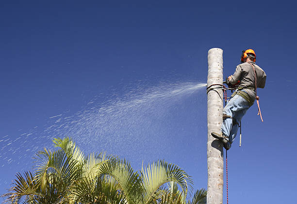 Lawn Irrigation Installation and Maintenance in Tanaina, AK